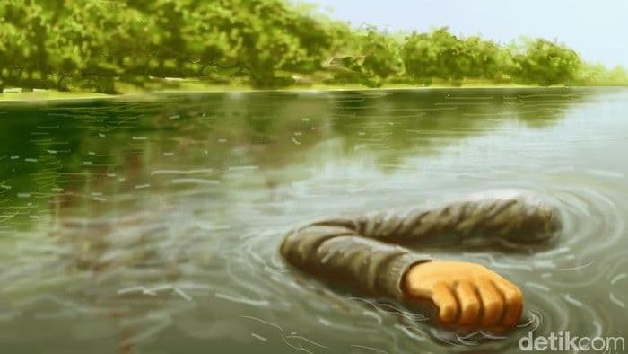 Title Image